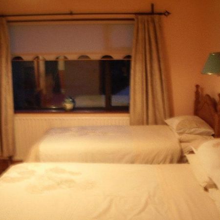 Aard Oakleigh Bed & Breakfast Bennettsbridge Bagian luar foto