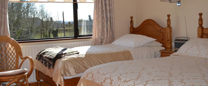 Aard Oakleigh Bed & Breakfast Bennettsbridge Bagian luar foto